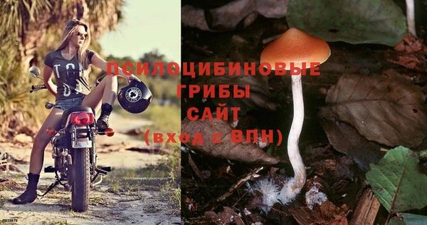mdpv Вязники